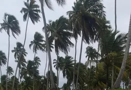 Semarh emite novo aviso para rajadas de vento acima de 50 km/h em Alagoas