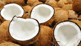 Pindorama firma parceria para projeto de reaproveitamento da casca do coco