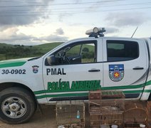 Polícia Ambiental realiza diversas apreensões na Região Norte de Alagoas