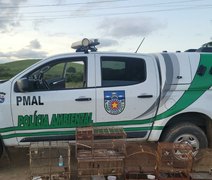 Polícia Ambiental realiza diversas apreensões na Região Norte de Alagoas