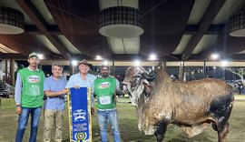 Julgamentos da Expoagro-AL reforçam protagonismo do estado na genética animal do Nordeste