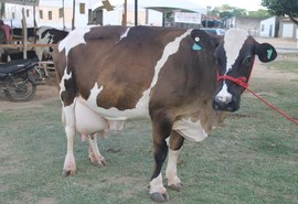 1º Torneio Leiteiro da Agricultura Familiar reafirma tradição leiteira