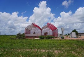 Projeto desenvolvido no Polo Tecnológico Agroalimentar de Arapiraca recebe selo da ONU