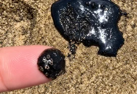 Manchas de óleo são encontradas no litoral de Alagoas