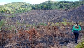 Período seco e baixa umidade em Alagoas aumentam riscos de queimadas, alerta IMA