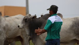 Time do 3º Estrelas do Norte está pronto para remate