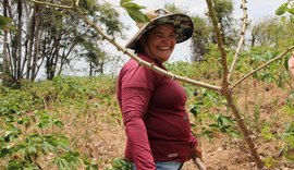 Participação do interior no PIB de Alagoas supera a capital, aponta IBGE