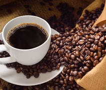 Brasil negocia com EUA para excluir café da tarifa de 50%