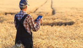 Ferramenta digital auxilia agrônomos no controle de doenças