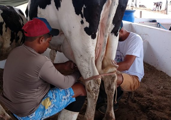 CPLA realiza torneio leiteiro em Belo Monte
