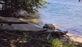 Corpo é encontrado às margens da Lagoa Manguaba, em Marechal Deodoro