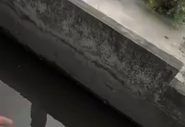Vídeo choca internautas após homem pescar tilápias em córrego de Maceió