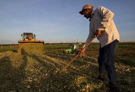 Pesquisa aponta que 15,8% dos produtores rurais estavam inadimplentes