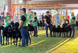 Expoagro/AL receberá Nacional da raça Santa Inês no Parque da Pecuária
