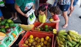 Agricultores de AL realizam mais uma edição da Feira Orgânica na Praia no domingo (12)
