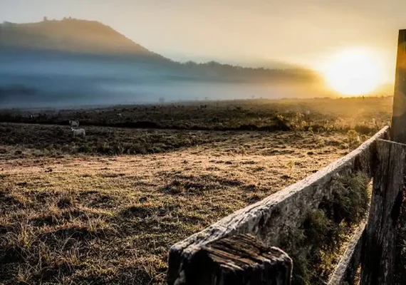Cidades do Sul registram temperaturas negativas neste domingo