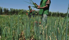 Próximo pacote do governo de AL será para o agro