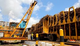 Usinas já processaram mais de 13,1 mi de toneladas de cana