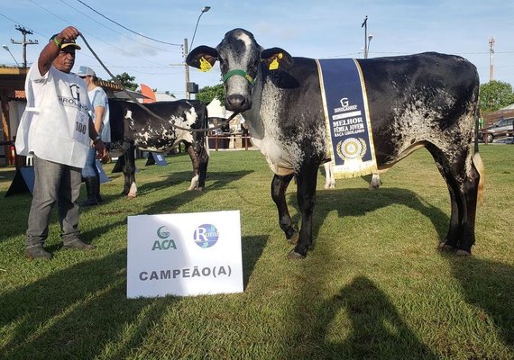 71ª Expoagro/AL vai sediar eventos regionais da raça Girolando