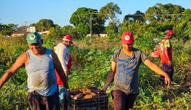 25ª Feira da Reforma Agrária reunirá mais de 150 camponeses em Maceió
