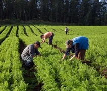 Deputado apela ao governo para a elaboração de projetos voltados para agricultura familiar