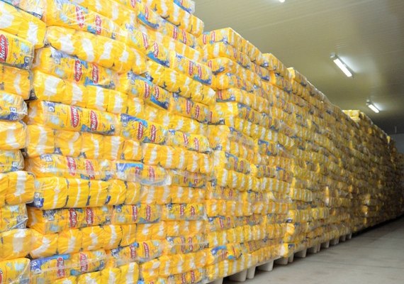 Sesau vai começar a distribuir 5,1 milhões de fraldas para acamados e idosos em Alagoas