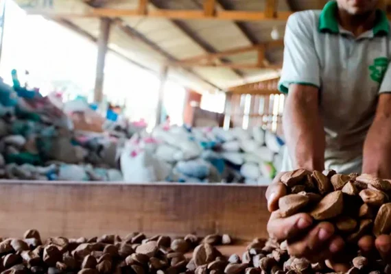 Cooperativas protagonizam novo momento para a sustentabilidade brasileira