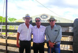 Agro Feira IBC promove edição nos dias 20 e 21 na Fazenda Recanto