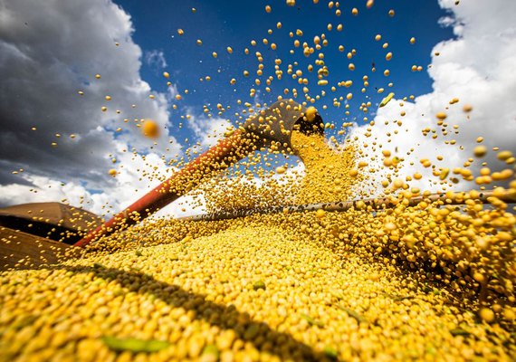 Produção de grãos no Brasil pode atingir recorde de 358,6 milhões de toneladas