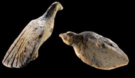 Aves esculpidas em presas de mamute de 40 mil anos são achadas em caverna