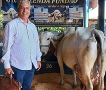 Vaca brasileira bate recorde mundial com produção média diária de leite  de 80,1 quilos