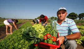 Projeto Brasil Mais Cooperativo beneficia agricultores familiares