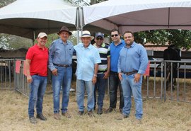 Genética Paulo Amaral fatura média de R$ 500 mil em nova edição