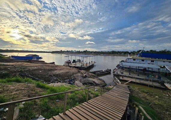 Estudo da Ufal sobre a Amazônia é publicado em revista científica internacional