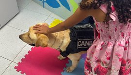 Cão de apoio emocional ajuda crianças vítimas de violência na Justiça de AL