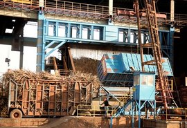 Setor canavieiro é um dos mais atingidos pela pandemia de Covid-19