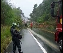 Deslizamento de barreira e queda de árvores interditam rodovia AL-101