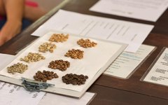 Visita técnica à Fazenda Yaguara, em Pernambuco