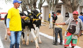 Expo Bacia Leiteira  dá largada para quadragésima edição