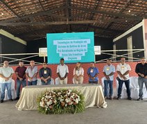 Seagri fortalece rizicultura no Baixo São Francisco com Programa Alagoas Mais Arroz