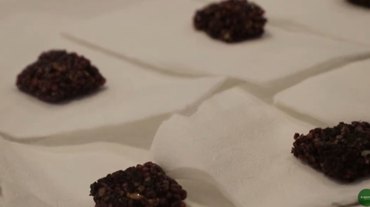 Cooperativa de Alagoas inova com produção de barra de cereal de jabuticaba