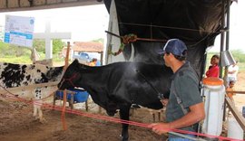 Super Torneio Leiteiro vai consagrar  os melhores da agricultura familiar