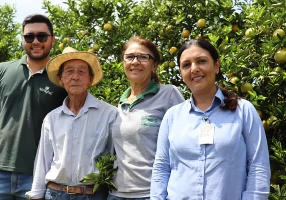 Cooperativa agropecuária lança campanha de combate ao greening