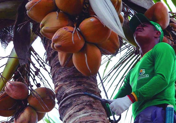 Agricultores abrem 1,2 mil contas na plataforma Cresol