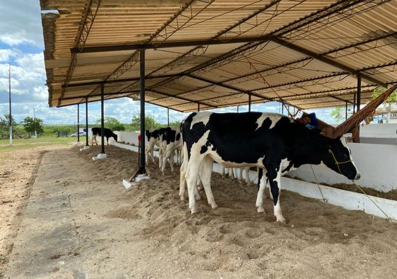 39ª Expo Bacia começa nesta quarta (14) com grande expectativa de público e negócios