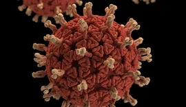 Alagoas registra 10 novos casos e mais duas mortes por Covid-19 nesta quarta (24)