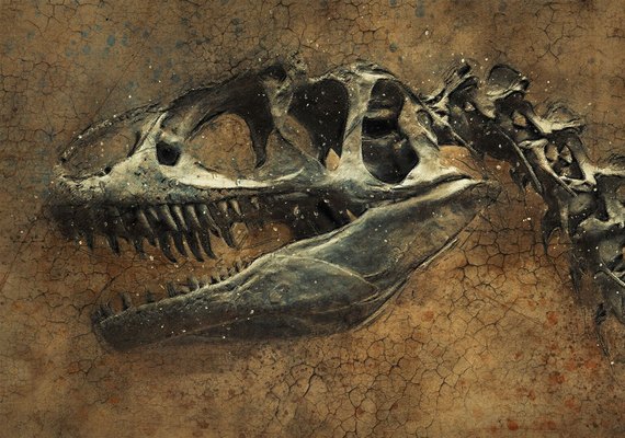 Nova espécie de espinossauro é descoberta no Saara