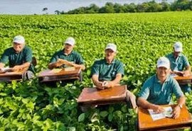 Programa que capacita pequenos produtores realiza treinamento online