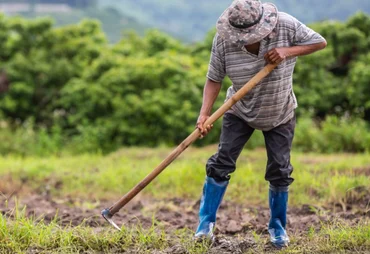 Câmara aprova uso do Fundo Social para apoiar agricultores em calamidades