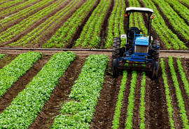 Crédito rural empresarial atinge R$ 404 bilhões no Plano Safra 2025/2026